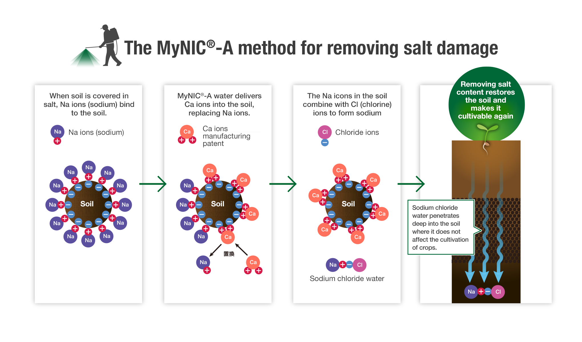 The MyNIC®-A method for removing salt damage